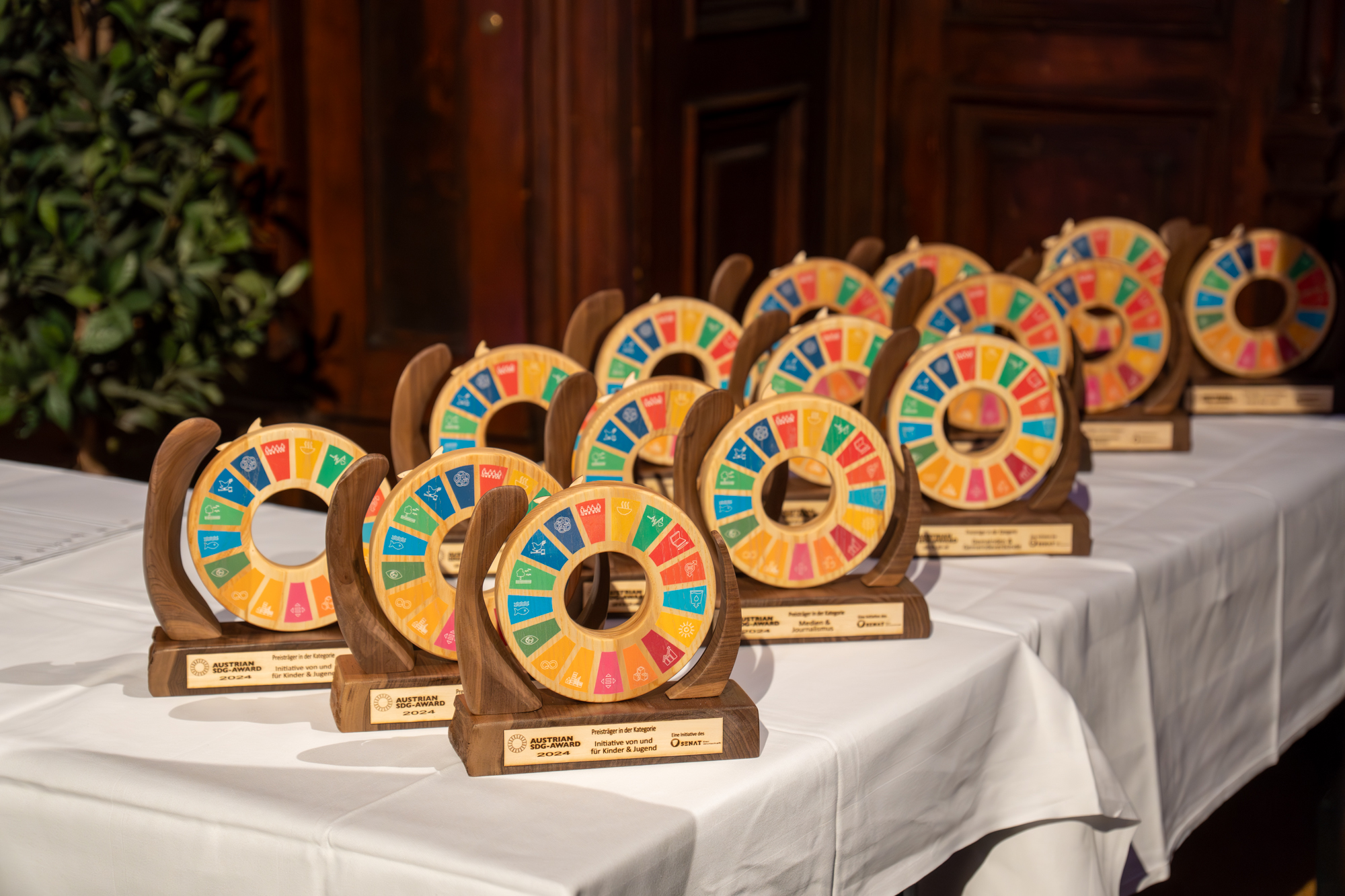 Senat der Wirtschaft Österreich