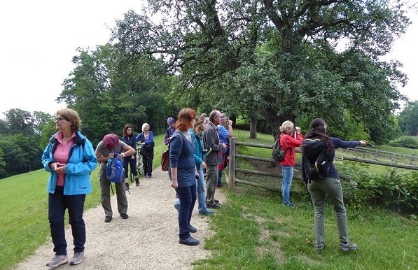 Fotorechte: Elfriede-Maria Reininger